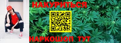 стафф Краснодар