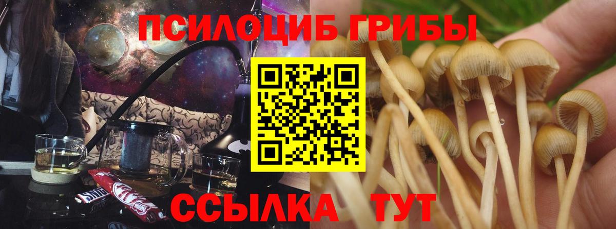 Феодосия  Галлюциногенные грибы прущие грибы  Псилоцибиновые грибы Magic Shrooms  Вход с VPN 