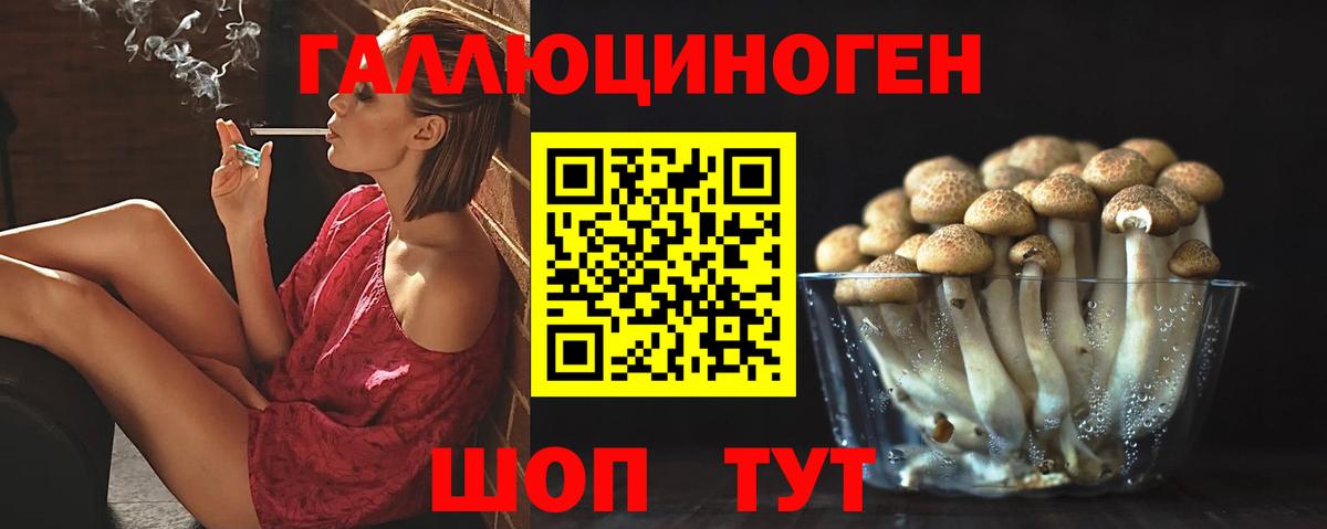 Галлюциногенные грибы Cubensis Феодосия